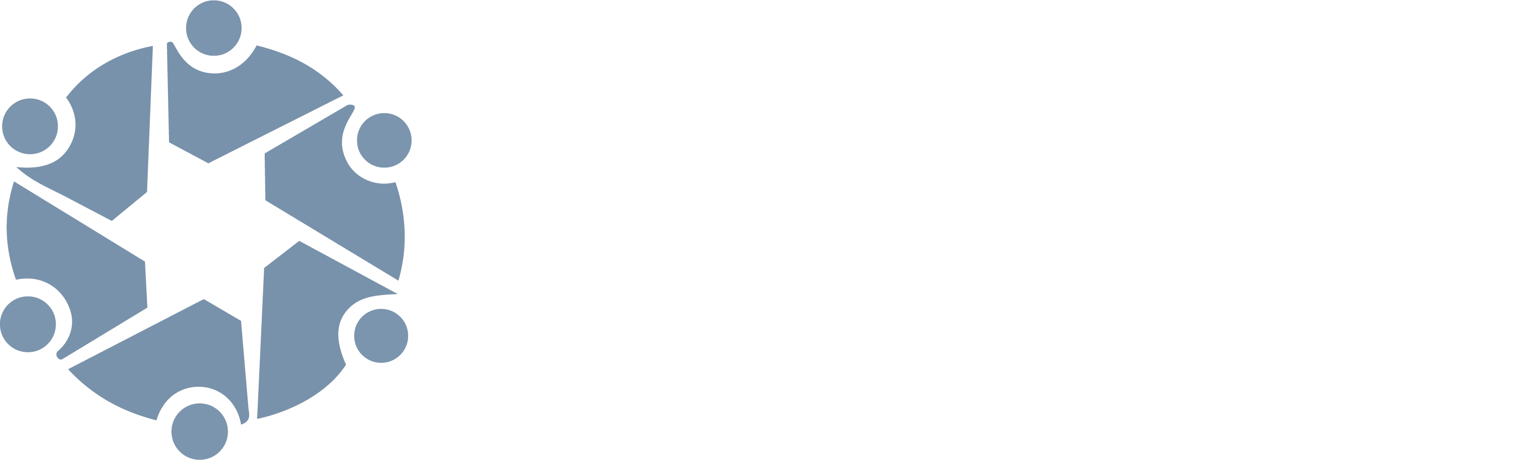 Seguimiento del Concejo